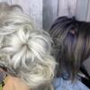 Secret Salon