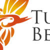 Turn Beautiful